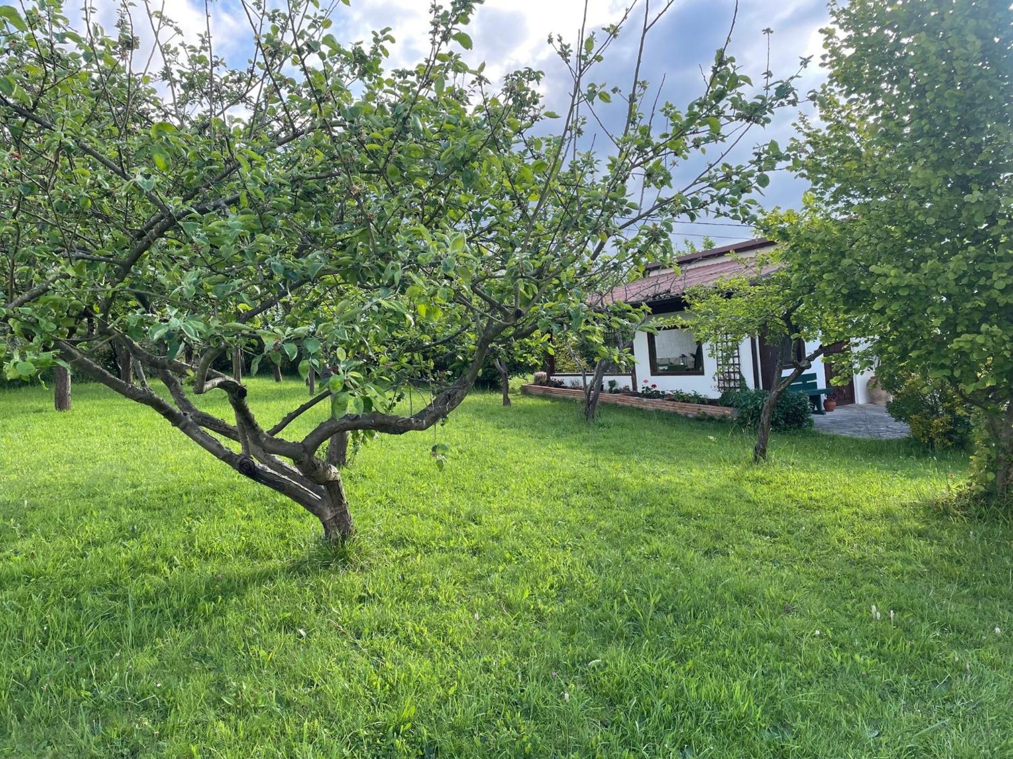 Casa Benjamin Villa Oviedo Buitenkant foto